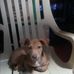 Norma Mateo - Facebook