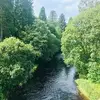 normamccormack8 - @normamccormack8 - TikTok