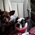 Norma Jean McCormick - @trudiejr - Instagram