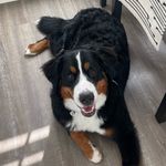 norman mcdermott - @normanmcdermott_ - Instagram