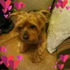 normamckellar - @normamckellar - TikTok
