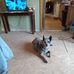 Norman Mcvicker - Facebook