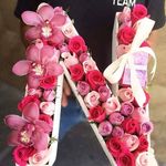 Norma Meneses - @norma.meneses.771 - Instagram
