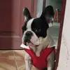 Norma Meneses - @norma.meneses87 - TikTok