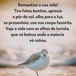 Norma Meneses Norma - @normamenesesnorma - Instagram
