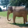 Norman Mercer - @norman.mercer - TikTok