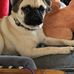 Norma Messick - Facebook
