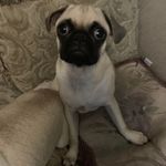 Norma Messick - @normamessick2022 - Instagram