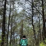 Norma Miguel - @nor.mamiguel - Instagram