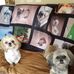 Norma Moon - Facebook