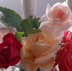 Norma Morrell - Facebook