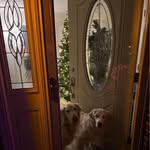 Norma Jean Gaudet-Neff - @gaudetneff - Instagram