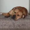 normanjayneumann - @normanj2019 - TikTok