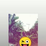 Norma New - @normanew63 - Instagram