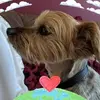 Norma Newman - @norma.newman73 - TikTok