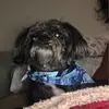 NORMA NIEVES - @norma.nieves5 - TikTok