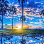 Norman Hatch Orton - @normanorton_ - Instagram