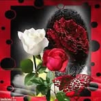 Norma Olin - Facebook