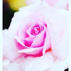 Olin Norma - Facebook