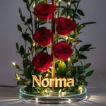 Norma Pabon - @pabonnormai20 - Instagram