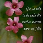 Norma Palacios - @norma.palacios.779205 - Instagram