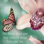 Norma Palacios - @norma.palacios.39501789 - Instagram