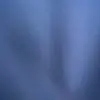 Norma Palacios - @normapalacios27 - TikTok