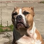 Norma Palomo - @normaljack65 - Instagram
