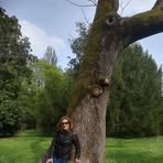 Norma Paradiso - Facebook