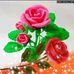 Norma Pardo - Facebook