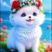 Norma Pardo - Facebook