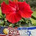Norma Parnell - Facebook