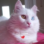 Norma Pennington - @njs67 - Instagram