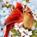 Norma Phipps - Facebook
