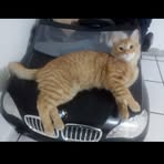 Norma Pichardo - Facebook