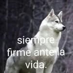 Norma Pichardo - @norma.pichardo.7106 - Instagram