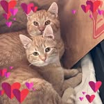 Norma Jean Pike - @normapike - Instagram