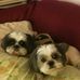 Norma Poe - Facebook