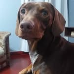 Norma Poelstra - @poelstranorma - Instagram