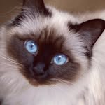 Norma 🐾 - @norma_polite - Instagram