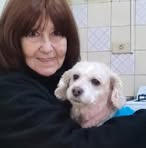 Norma Poli - Facebook
