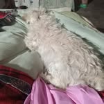 norma poli - @normapoli19 - Instagram