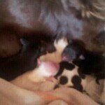 Norma Priest - @njp1957 - Instagram