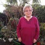 Norma Priest - @normapriest - Instagram