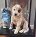 Norma Priest - Facebook