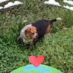 Norma Puckett - @syzrhpy - Instagram