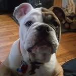Norman Puckett - @normanpuckett - Instagram