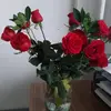 Norma Puga - @normapuga0 - TikTok