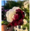 Quevedo Norma - @normaquevedo108 - TikTok