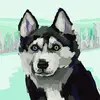 Norman Rader - @norman.rader - TikTok
